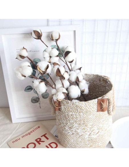 Ramas de Algodón Natural DomeStar - 8 Paquetes de 15 Bolas