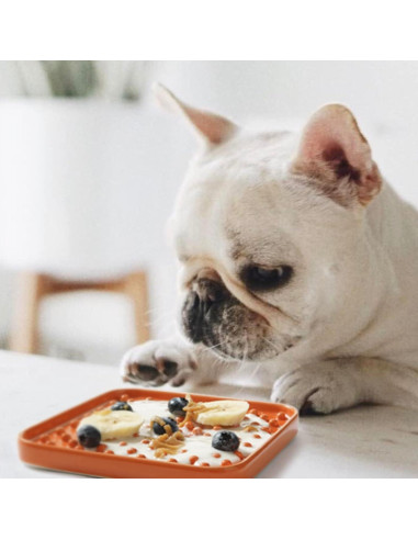 Alimentador Lento Cerámico LE TAUCI PET 13.97 cm Set 2 Azul Naranja