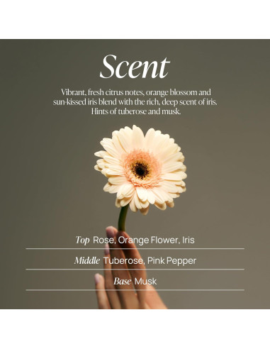 Gel de Ducha Espumoso VOYAGER 300ml Rosa Hidratante