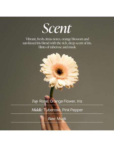 Gel de Ducha Espumoso VOYAGER 300ml Rosa Hidratante