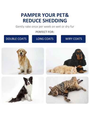 Rastrillo de Aseo WePet para Perros y Gatos Grande Azul