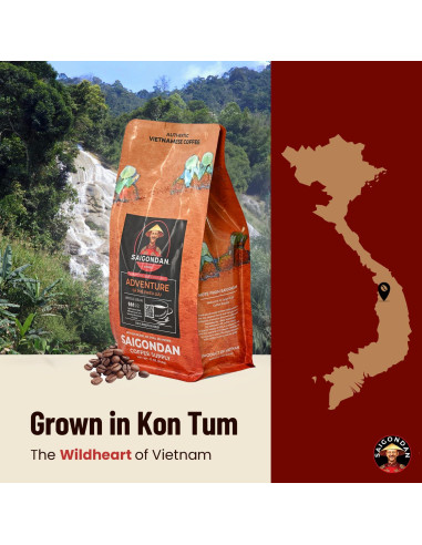 Café en Grano Saigondan Aventura 340g - 100% Robusta Vietnamita