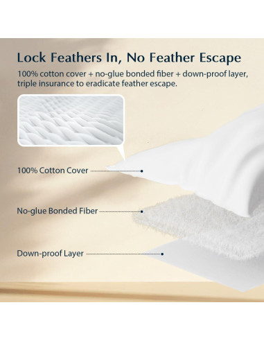 Almohada de Cama Pacific Coast Estándar Plumas de Ganso 1 Paquete