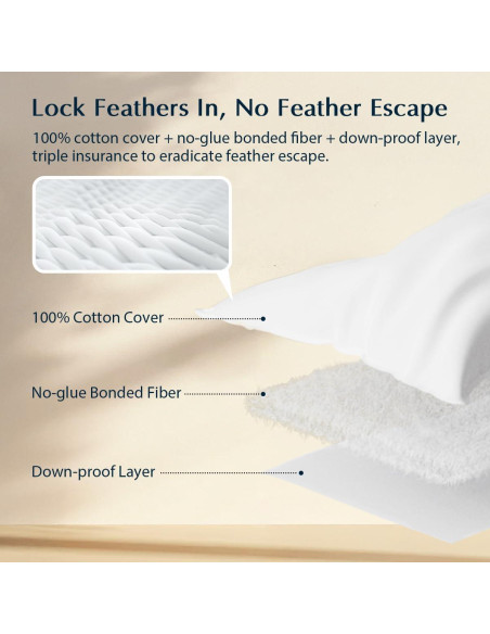 Almohada de Cama Pacific Coast Estándar Plumas de Ganso 1 Paquete