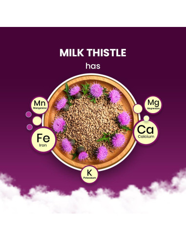 Té de Cardo Mariano Redplum - 10 Bolsas - Sin Cafeína