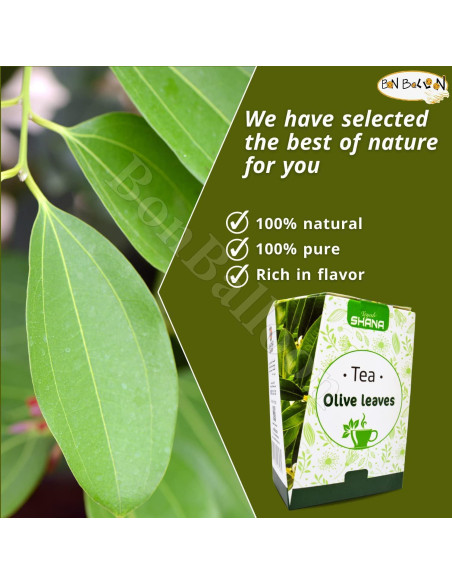 Té de Hojas de Olivo Shana Herbal Puro 75 g Kosher Halal