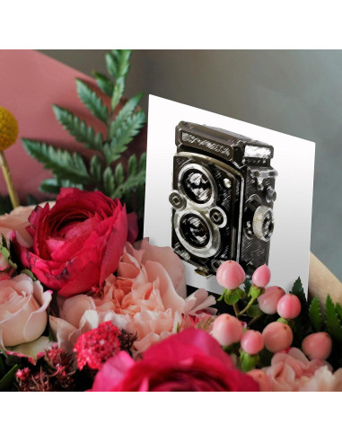 Tarjetas de Felicitación 3dRose - Cámara Vintage TLR - Paquete de 6