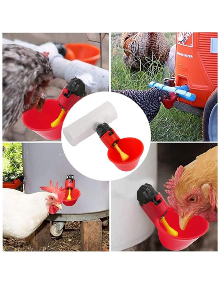 10 Copas Automáticas para Beber Aves Plzoslly 8x5cm