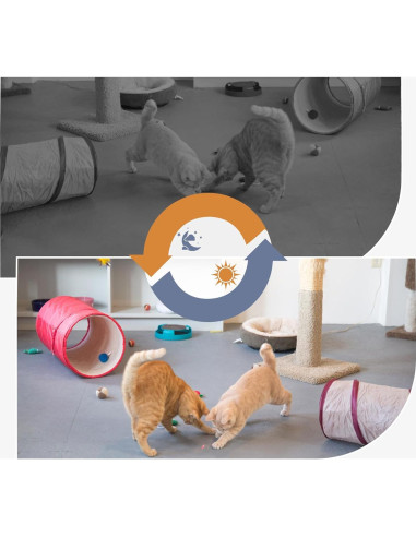 Cámara de Seguridad GXSSTO Nanny 1080P HD Detección Movimiento