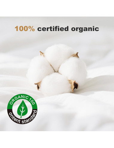 Edredón de Plumas DownAero Queen 228.6x228.6 cm Blanco