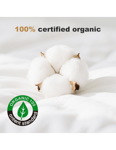 Edredón de Plumas DownAero Queen 228.6x228.6 cm Blanco