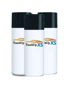 Pintura de Retoque Touchup XS para Nissan Versa K36 354ml