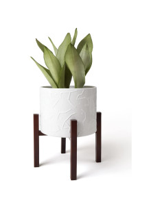 Maceta de Cerámica 10" LA JOLIE MUSE con Soporte de Madera