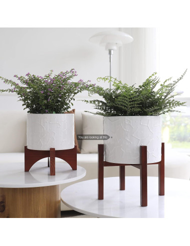 Maceta de Cerámica 10" LA JOLIE MUSE con Soporte de Madera