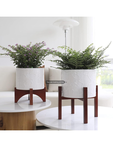 Maceta de Cerámica 10" LA JOLIE MUSE con Soporte de Madera