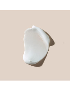 Crema Hidratante para Manos AHAVA 151 ml - Rápida Absorción 2