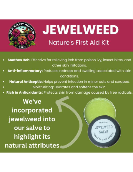 Ungüento Natural Jewelweed Blackberry Hollow 56.7 g - Alivio Picazón