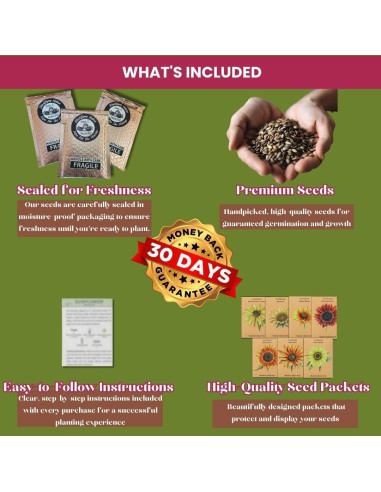 Ungüento Natural Jewelweed Blackberry Hollow 56.7 g - Alivio Picazón