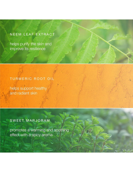 Limpiador Facial Equilibrante Himalaya Neem y Cúrcuma 150 ml