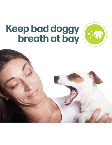 Fido Doozie Bones Huesos Dentales Sabor Cacahuate 21 Mini