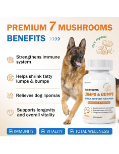 Suplemento de Hongo para Perros PKperekond - Cápsulas para Bultos y Lipomas 2