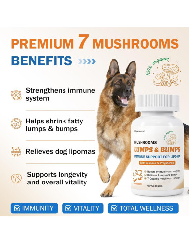 Suplemento de Hongo para Perros PKperekond - Cápsulas para Bultos y Lipomas