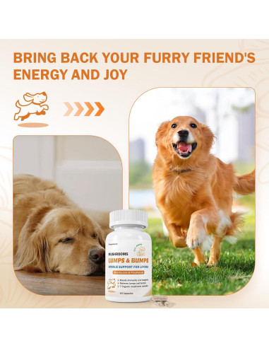 Suplemento de Hongo para Perros PKperekond - Cápsulas para Bultos y Lipomas