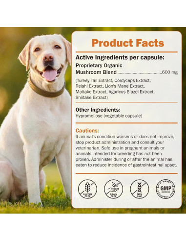 Suplemento de Hongo para Perros PKperekond - Cápsulas para Bultos y Lipomas