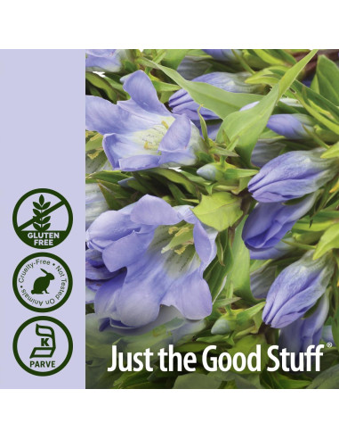 Extracto de Raíz de Genciana Nature's Answer 1000mg 60ml