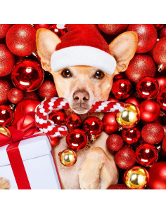 Juguetes de Cuerda para Perros Liliful 24 Piezas Navidad 2