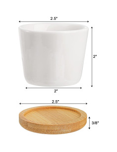 Tosnail Paquete de 12 Macetas Cerámicas para Suculentas 6.35cm 2