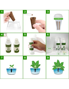 Kit de Cápsulas de Semillas Hidropónicas Hdroor SSK-12 2