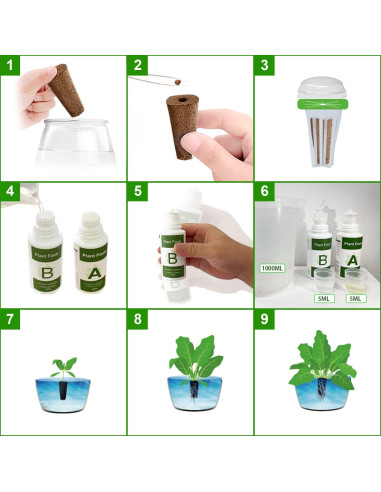 Kit de Cápsulas de Semillas Hidropónicas Hdroor SSK-12