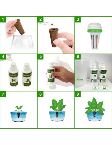 Kit de Cápsulas de Semillas Hidropónicas Hdroor SSK-12