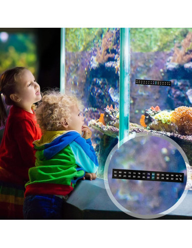 6 Termómetros Adhesivos Digitales Frienda para Acuarios 18-34C