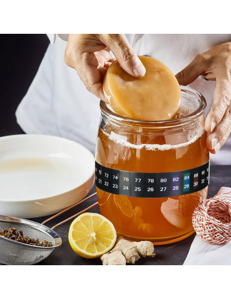 6 Termómetros Adhesivos Digitales Frienda para Acuarios 18-34C