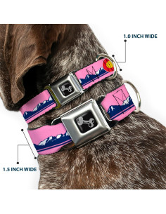 Collar de Perro Buckle-Down, Hebilla de Seguridad, 38-61 cm 2