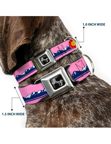 Collar de Perro Buckle-Down, Hebilla de Seguridad, 38-61 cm