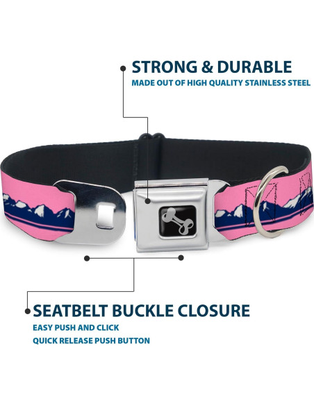 Collar de Perro Buckle-Down, Hebilla de Seguridad, 38-61 cm
