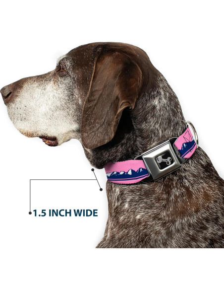 Collar de Perro Buckle-Down, Hebilla de Seguridad, 38-61 cm