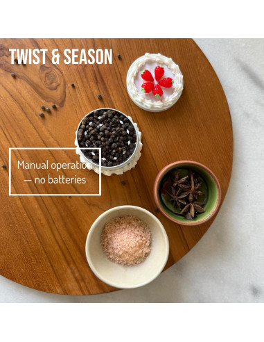 Molino de Especias Manual Gray Oval 6.35 cm Diseño Pastel