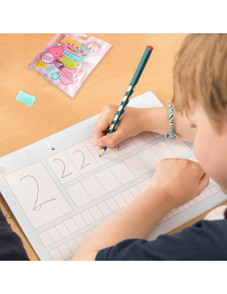 Borradores de Animales Czhotg - 5 Piezas Oso y Panda