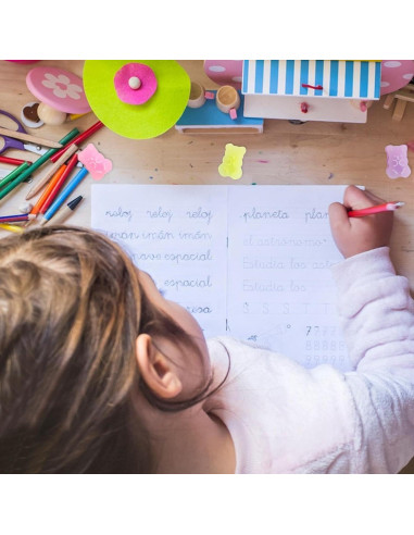 Borradores de Animales Czhotg - 5 Piezas Oso y Panda