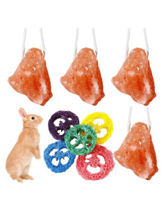 Bloque de Sal Himalaya y Juguetes de Lufa para Conejos - 4 Pcs