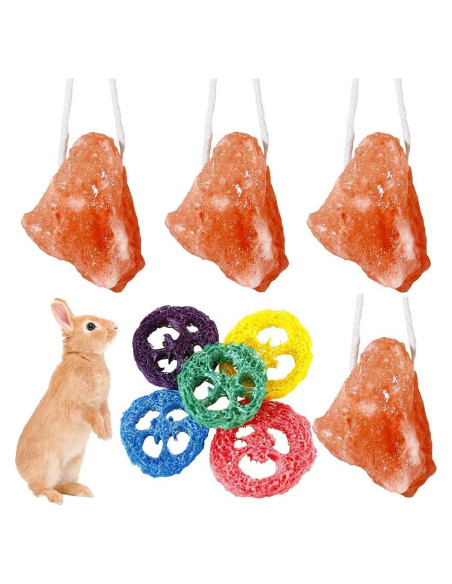 Bloque de Sal Himalaya y Juguetes de Lufa para Conejos - 4 Pcs