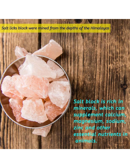 Bloque de Sal Himalaya y Juguetes de Lufa para Conejos - 4 Pcs