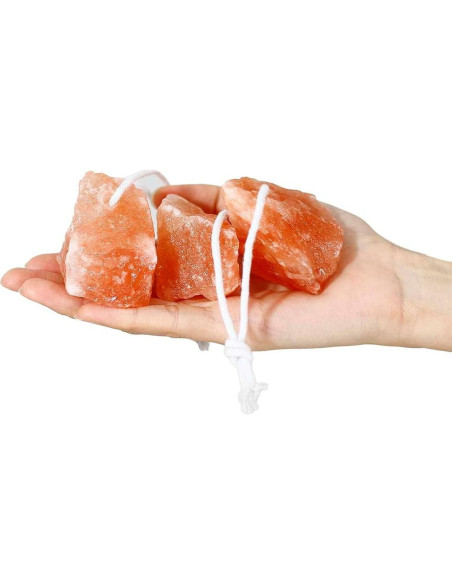 Bloque de Sal Himalaya y Juguetes de Lufa para Conejos - 4 Pcs
