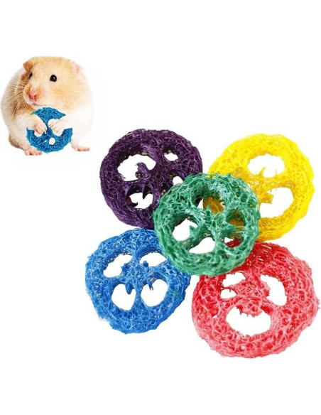 Bloque de Sal Himalaya y Juguetes de Lufa para Conejos - 4 Pcs