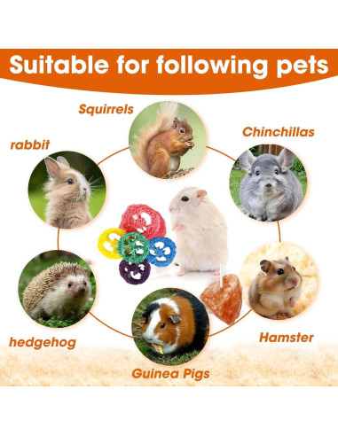 Bloque de Sal Himalaya y Juguetes de Lufa para Conejos - 4 Pcs