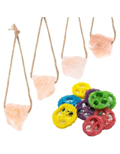 Bloque de Sal Himalaya y Juguetes de Lufa para Conejos - 4 Pcs